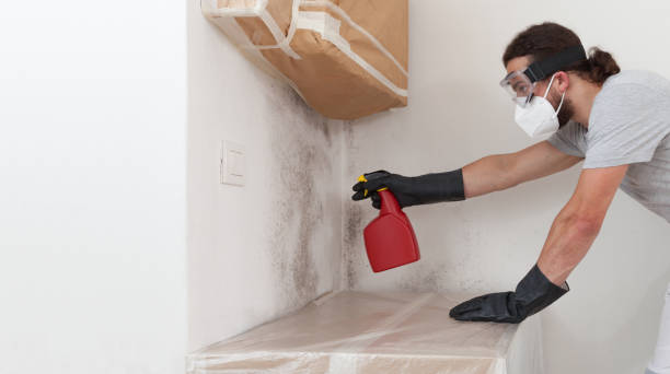 Professional Commercial Mold Remediation technician working in Linden, TX