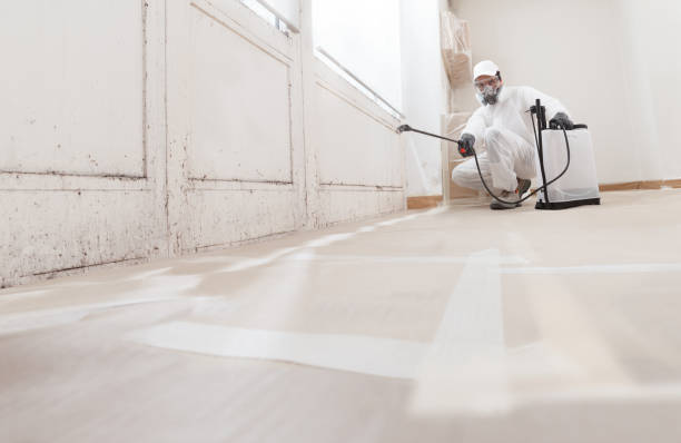 24/7 Emergency Commercial Mold Remediation experts in Linden, TX